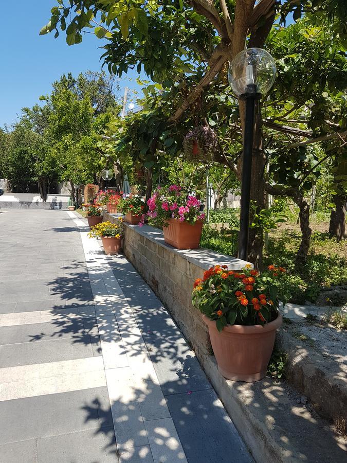 Casa Aristide Bed & Breakfast Sant'Agnello Exterior photo